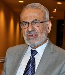 Mohsen Abdel-Hamid
